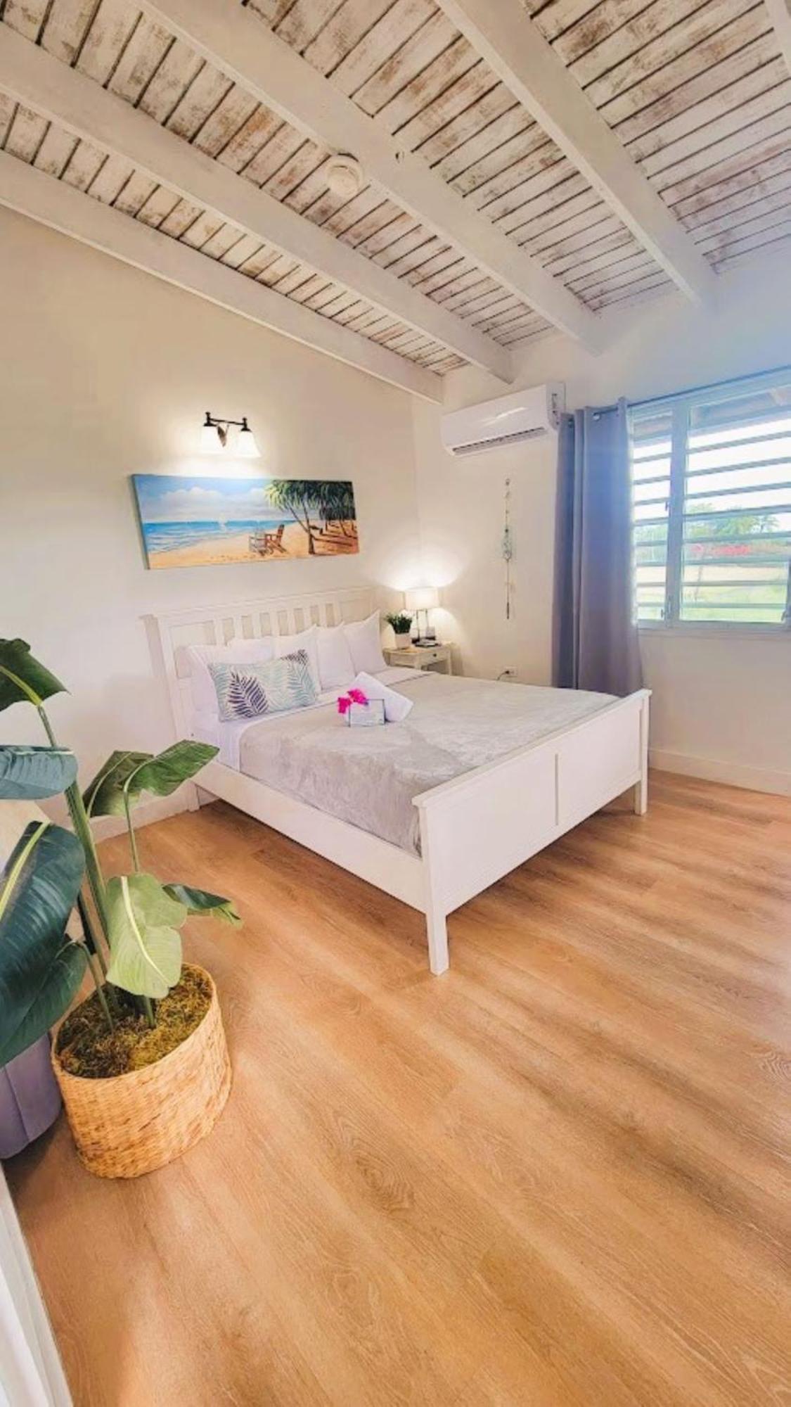 La Jamaca - Island Vibe Hotel ลาปาร์เกรา ภายนอก รูปภาพ